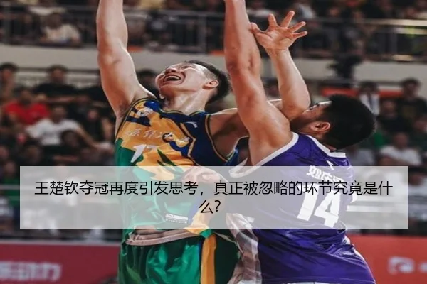 wang-chu-qin-duo-guan-zai-du-yin-fa-si-kao-zhen-zheng-bei-hu-lve-de-huan-jie-jiu-jing-shi-shen-me-2-721.jpg